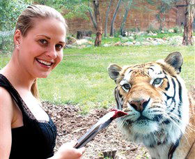 National Zoo & Aquarium - Accommodation 4U 1