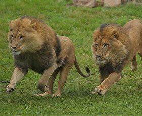National Zoo & Aquarium - Accommodation 4U 4