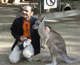 Activity Tours Australia - Accommodation 4U 3