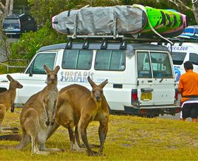 Surfaris Surf Camp - Accommodation 4U 3