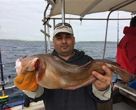 Deep Sea Fishing Charter - Accommodation 4U 5