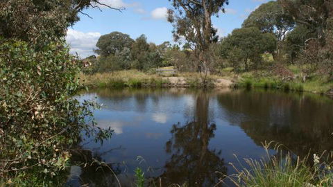 Cooleman Ridge - Accommodation 4U 3