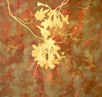 Fellia Melas Gallery - Accommodation 4U