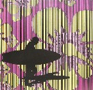 Iain Dawson Gallery - Accommodation 4U 2