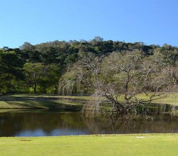 Antill Park Country Golf Club - Accommodation 4U 1