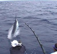 Amokura Charters - Accommodation 4U