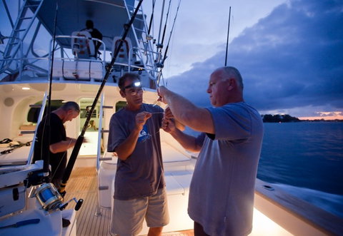 Amokura Charters - Accommodation 4U 1