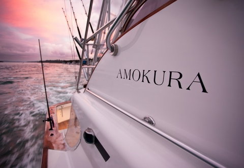 Amokura Charters - Accommodation 4U 4