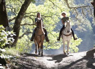 Hunter Valley Horse Riding And Adventures - Accommodation 4U 1