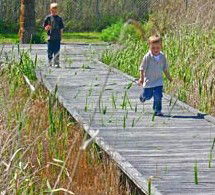 Hunter Wetlands Centre Australia - Accommodation 4U 1