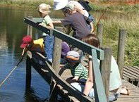Hunter Wetlands Centre Australia - Accommodation 4U 2