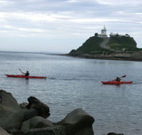 Newcastle Kayak Tours - Accommodation 4U