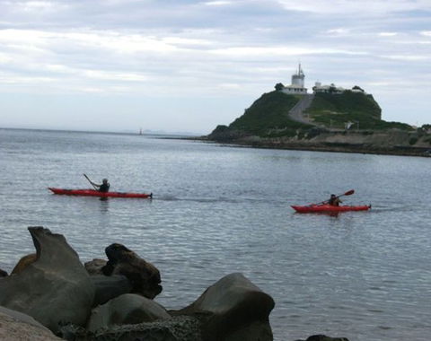 Newcastle Kayak Tours - Accommodation 4U 0