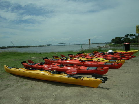 Newcastle Kayak Tours - Accommodation 4U 2