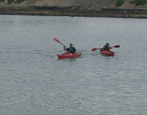 Newcastle Kayak Tours - Accommodation 4U 4