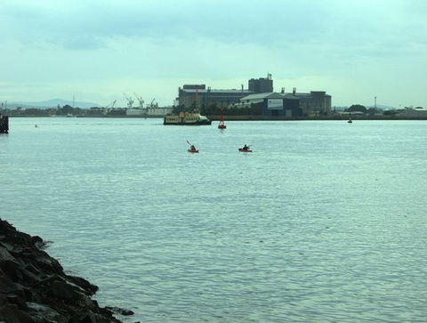 Newcastle Kayak Tours - Accommodation 4U 5