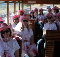 Newcastles Famous Tram - Accommodation 4U