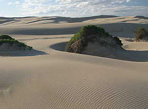 Port Stephens 4WD Tours - Accommodation 4U 1