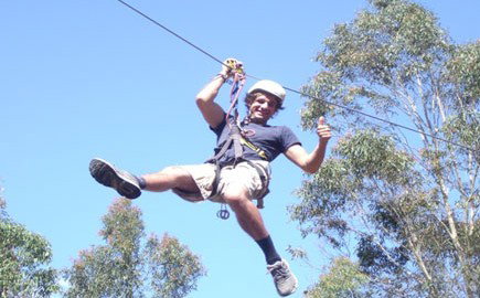 TreeTops Newcastle - Accommodation 4U 1