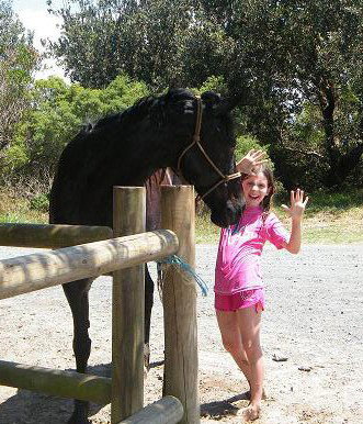 Pegasus Park Equestrian Centre - Accommodation 4U 3