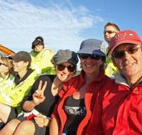 Byron Bay Whale Watching - Accommodation 4U