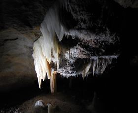 Country Charmâ„¢ Discovery Tours - Accommodation 4U 1