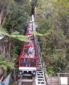 Country Charmâ„¢ Discovery Tours - Accommodation 4U 6