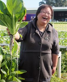 TCP Day Tours - Accommodation 4U 3