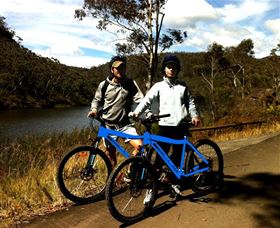 TCP Day Tours - Accommodation 4U 5