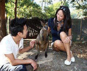 VIP Aussie Gold - Accommodation 4U 0