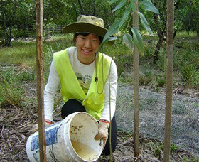 Conservation Volunteers Australia - Sydney - Accommodation 4U 1
