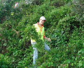 Conservation Volunteers Australia - Sydney - Accommodation 4U 2