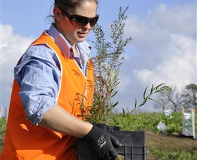 Conservation Volunteers Australia - Sydney - Accommodation 4U 3