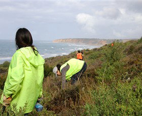 Conservation Volunteers Australia - Sydney - Accommodation 4U 5