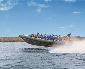 Manly Ocean Adventures - Accommodation 4U 2