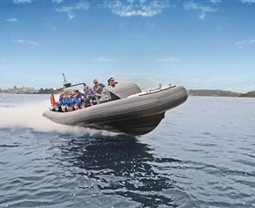 Manly Ocean Adventures - Accommodation 4U 1