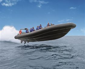 Manly Ocean Adventures - Accommodation 4U 0