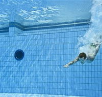 Dive Into History at Sydney Olympic Park Aquatic Centre - Accommodation 4U