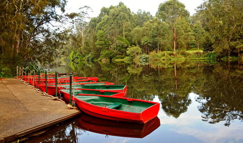 Lane Cove National Park - Accommodation 4U 0