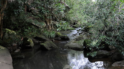 Lane Cove National Park - Accommodation 4U 3