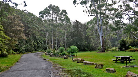 Lane Cove National Park - Accommodation 4U 2