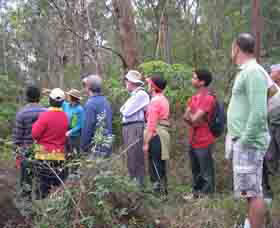 Boronia Tours - Accommodation 4U 0