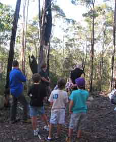 Boronia Tours - Accommodation 4U 1