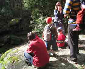Boronia Tours - Accommodation 4U 2