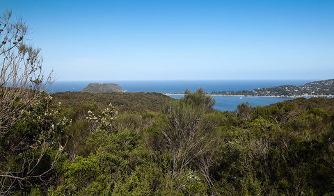 Aboriginal Heritage Walk - Accommodation 4U 1