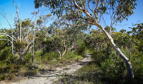 Aboriginal Heritage Walk - Accommodation 4U 2