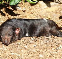 Symbio Wildlife Park - Accommodation 4U