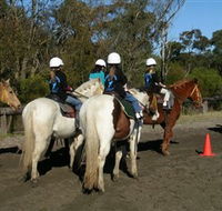 Darkes Forest Riding Ranch - Accommodation 4U
