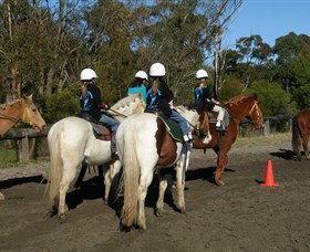 Darkes Forest Riding Ranch - Accommodation 4U 0