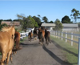 Darkes Forest Riding Ranch - Accommodation 4U 1